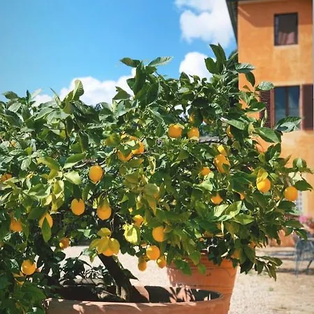 Fattoria Di Catignano
