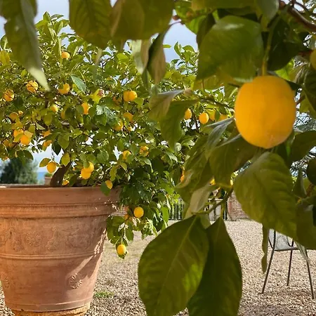 Fattoria Di Catignano Country house *