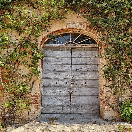Fattoria Di Catignano